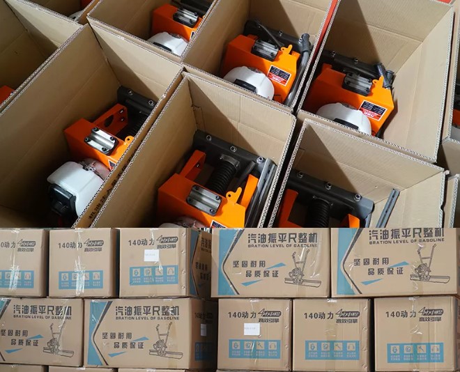Máy đầm bê tông EMX300